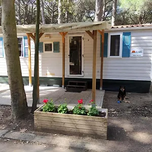 https://camping-mare-e-pineta-lux-5.emilia-romagnahotels.net